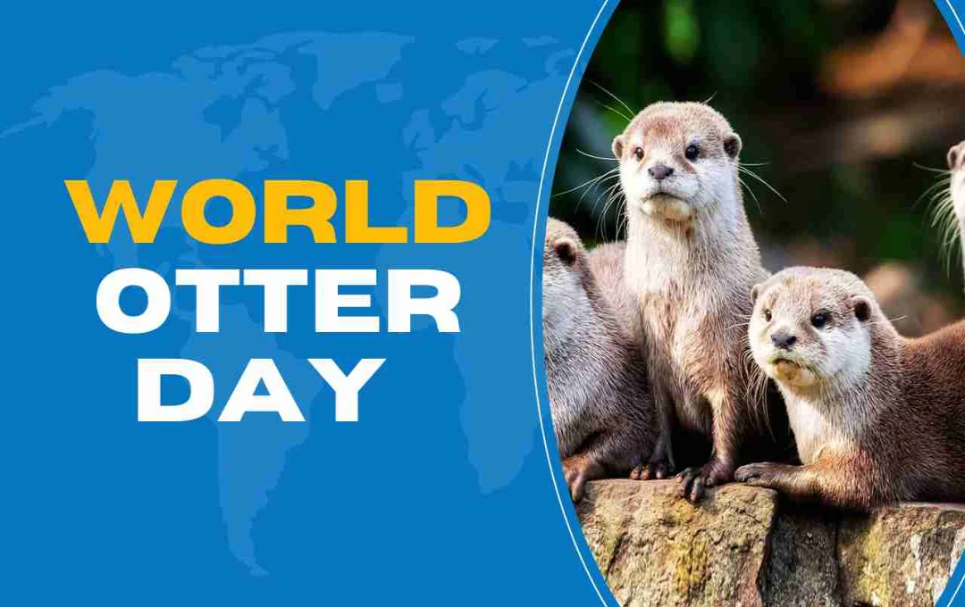 28 May: World Otter Day  – नन्हे जलजीवों की सुरक्षा के लिए समर्पित एक खास दिन