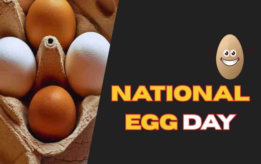 Celebrate National Egg Day: A Nutritious and Delicious Food Source