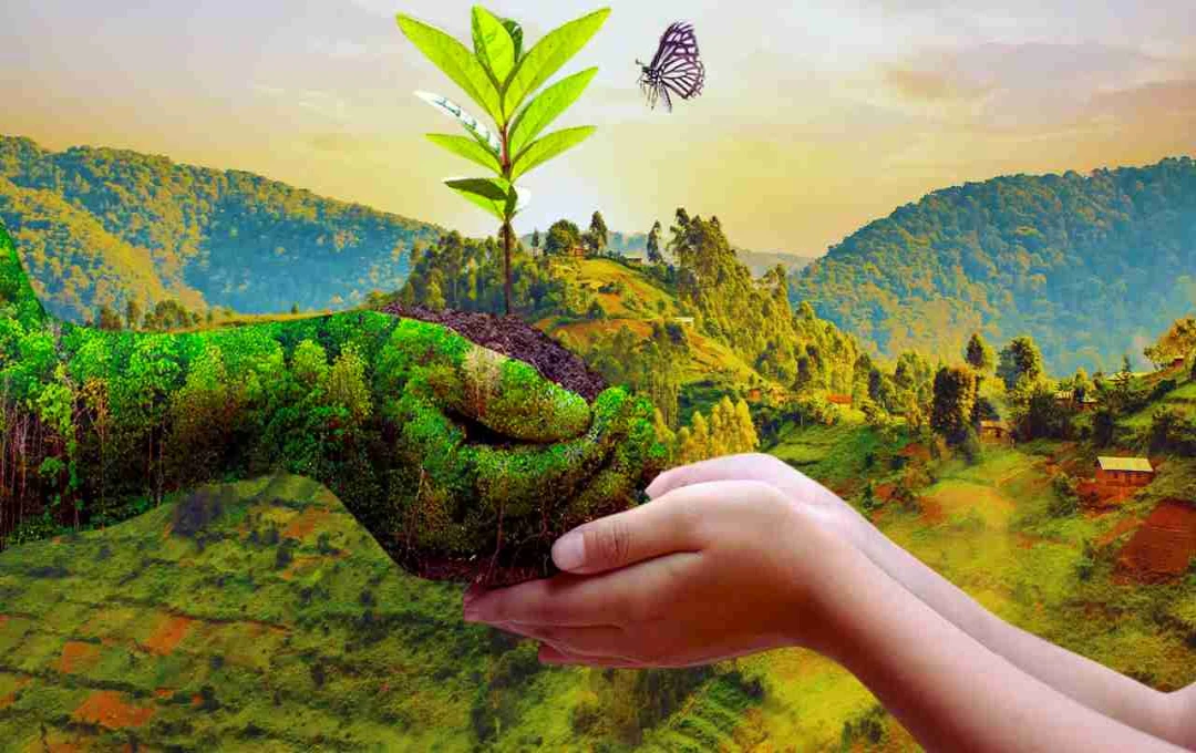 World Environment Day: हमारी पृथ्वी का संरक्षण और भविष्य का संकल्प