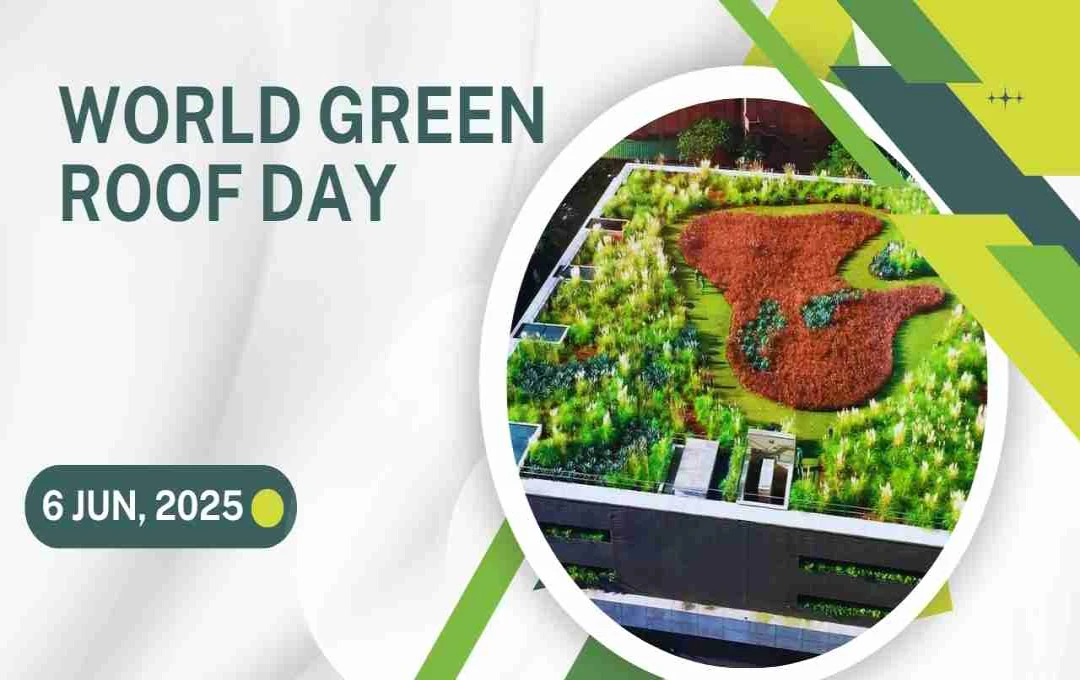 World Green Roof Day: क्यों है छतों पर हरियाली लाना जरूरी?