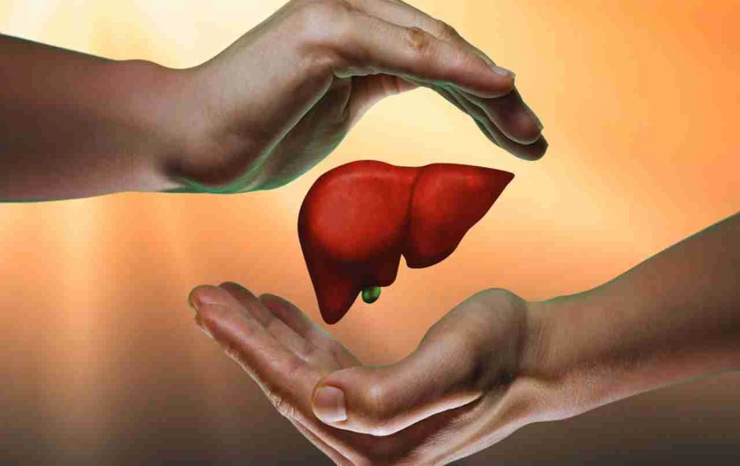 लिवर को स्वस्थ रखना है? इन 6 चीज़ों से तुरंत दूरी बना लें, वरना बढ़ सकता है खतरा