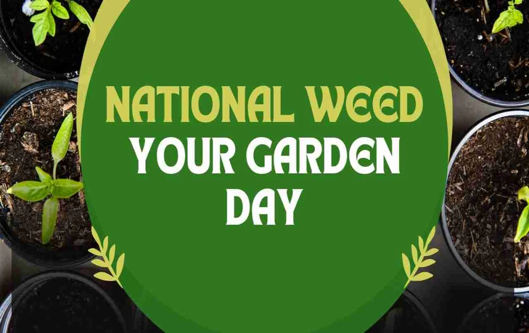 National Weed Your Garden Day– अपने बगीचे को दें नई जिंदगी