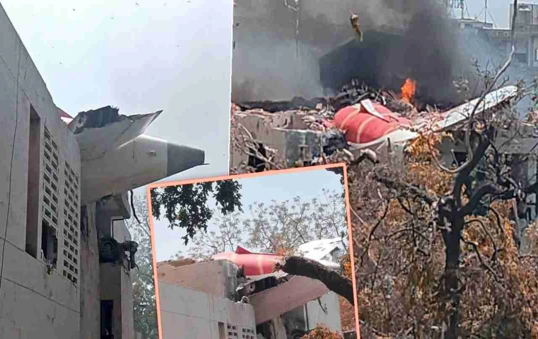 আহমেদাবাদ বিমান দুর্ঘটনা: শিল্প জগতের ঐক্যবদ্ধ প্রতিক্রিয়া