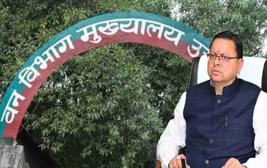 Uttrakhand: वन विभाग घोटाला! ₹10 के पौधे ₹100 में खरीदे, जांच की सिफारिश