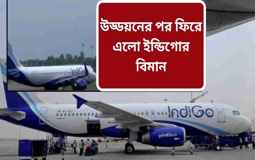 দিল্লি-লেহ ও হায়দ্রাবাদ-তিরুপতি ফ্লাইটে প্রযুক্তিগত ত্রুটি: নিরাপদ অবতরণ