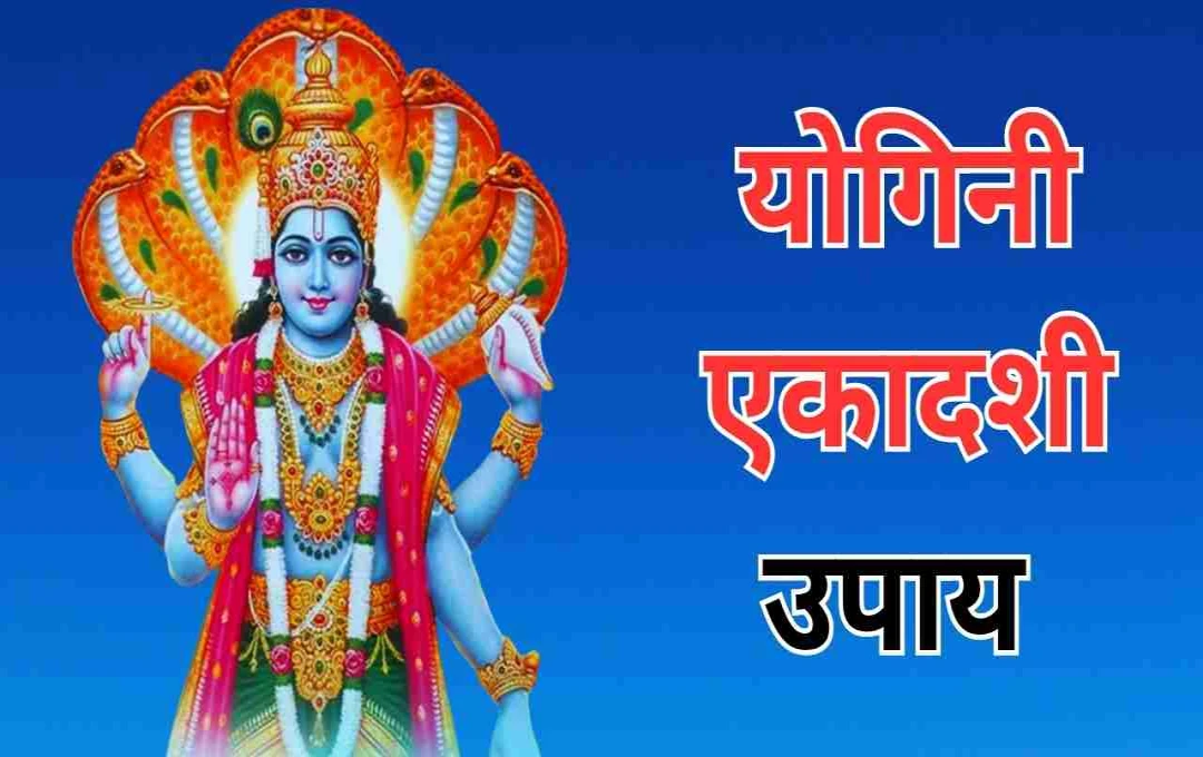 যোগিনী একাদশী: তুলসী পূজা ও মন্ত্র জপের মাধ্যমে সুখ, সমৃদ্ধি ও মোক্ষের দ্বার