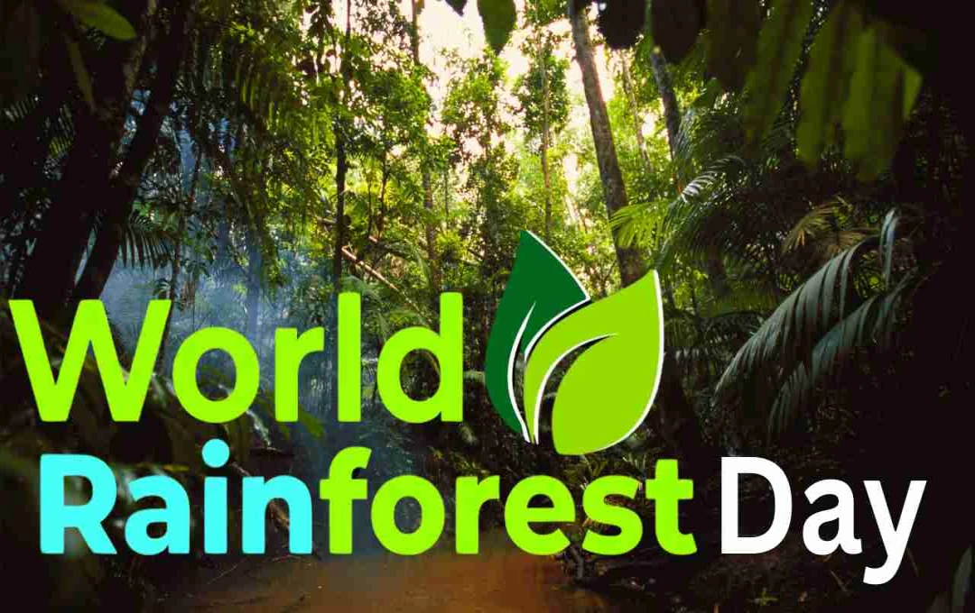 World Rainforest Day - जंगल बचाएं, धरती को फिर से हरियाली से सजाएं