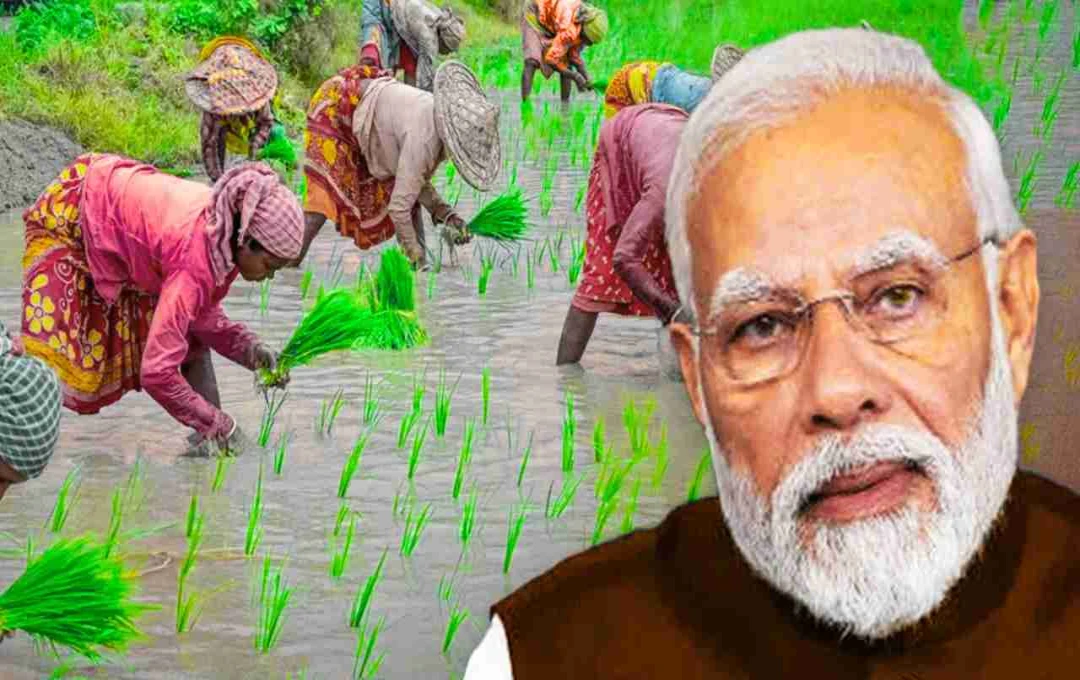 किसानों और उपभोक्ताओं के हित में भारत ने GM आयात से किया इनकार