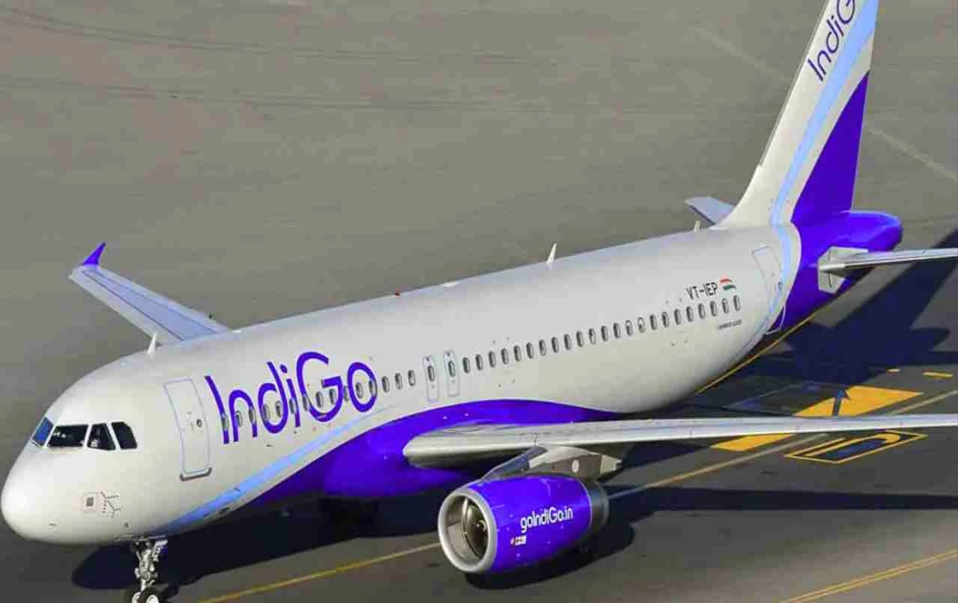 IndiGo पर SC/ST एक्ट के तहत मामला दर्ज, कार्यस्थल पर भेदभाव का आरोप