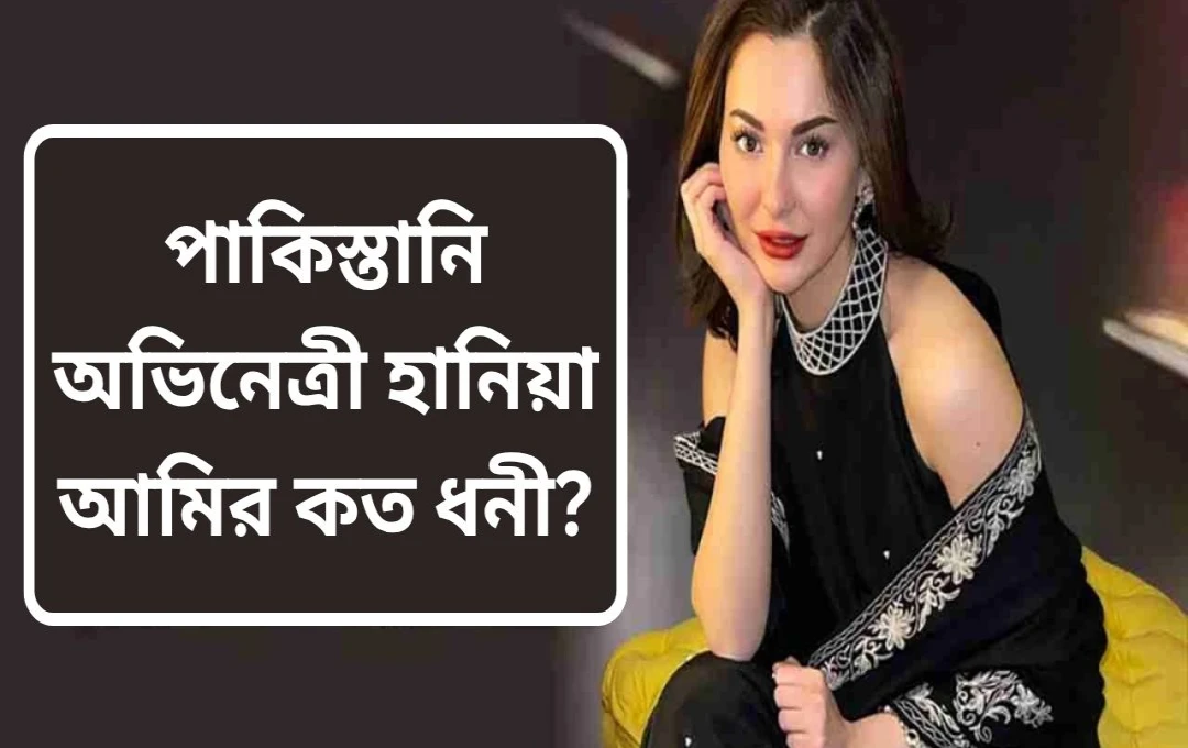 হানিয়া আমিরের নেটওয়ার্থ, জীবনযাত্রা এবং চলচ্চিত্র জীবন