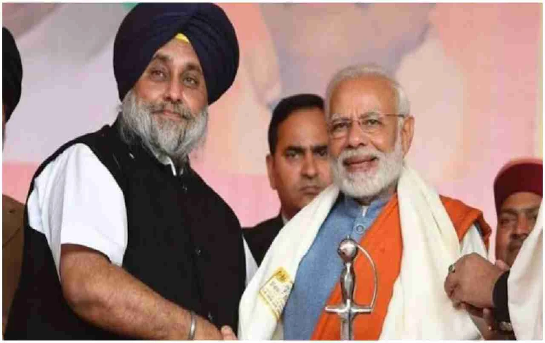 Punjab Politics: पंजाब की सियासत में हलचल, शिअद-बीजेपी गठबंधन की चर्चा फिर तेज, जानें पूरा समीकरण