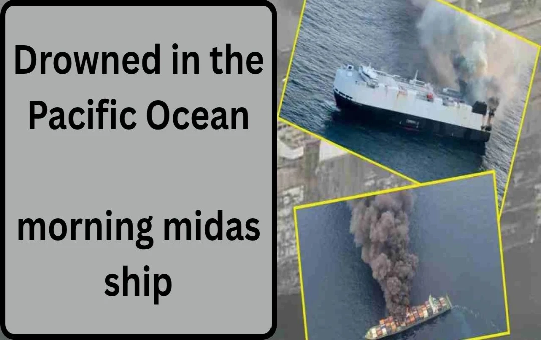 Cargo Ship 'Morning Midas' Sinks in Pacific Ocean with 800 Electric Vehicles