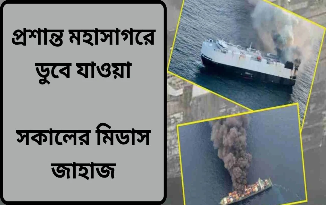 প্রশান্ত মহাসাগরে ‘মর্নিং মিডাস’ জাহাজডুবি: ক্রু উদ্ধার, পরিবেশ দূষণের আশঙ্কা