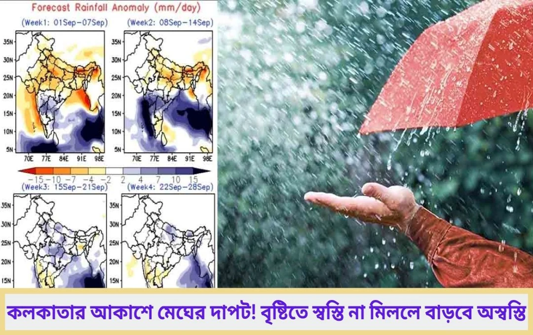 বঙ্গোপসাগরের বুকে নিম্নচাপের নতুন খেলা! রাজ্যজুড়ে টানা বৃষ্টি, সতর্কতা জারি