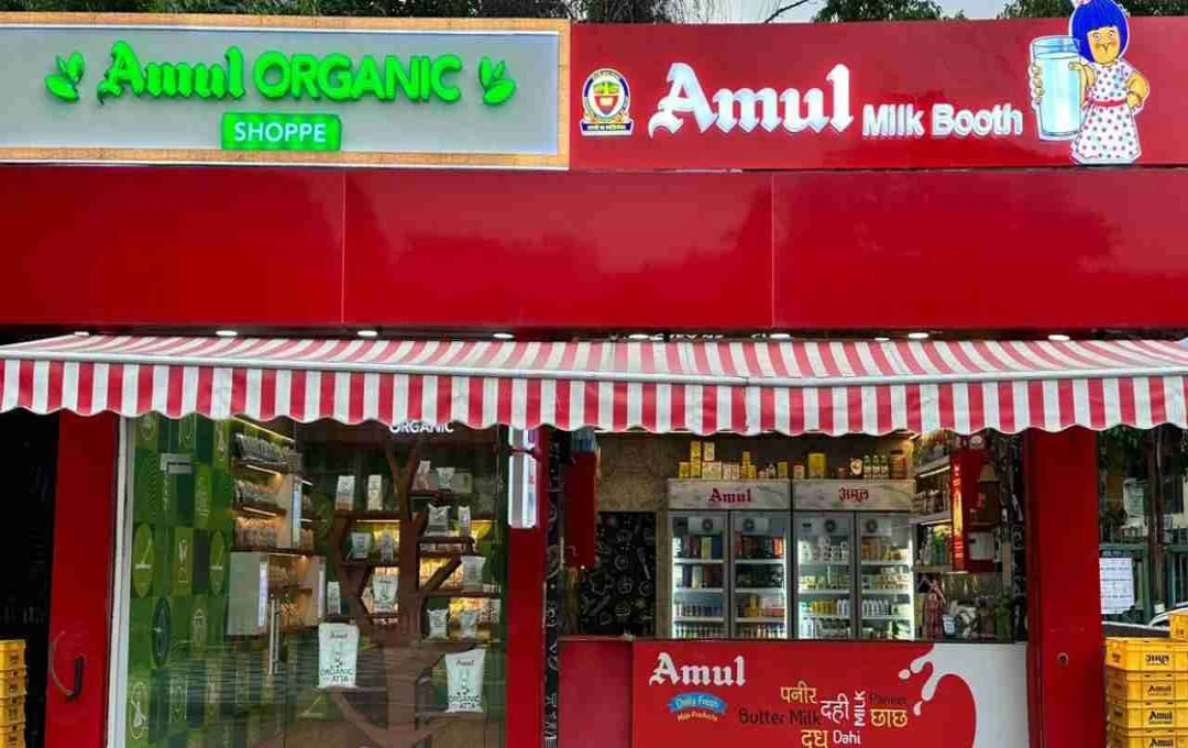 ब्रांड फाइनेंस रिपोर्ट: भारतीय फूड ब्रांड्स में Amul का दबदबा, Britannia को तीसरा स्थान