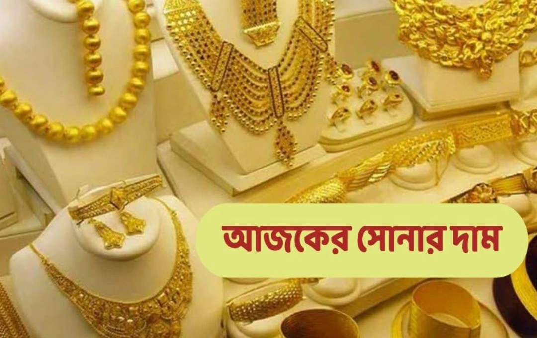 সোনার রেকর্ড দামে বিনিয়োগকারীদের নিঃশ্বাস ফেলার সময়! তবু প্রশ্ন, পতনের ইঙ্গিত নাকি সাময়িক বিরতি?