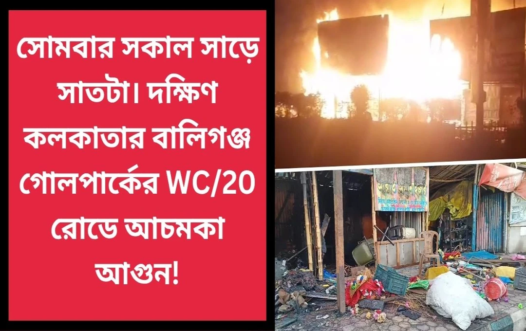 বালিগঞ্জে সকালবেলার আতঙ্ক! ফ্ল্যাটের নীচে দাউদাউ করে জ্বলল মিটার বক্স |
