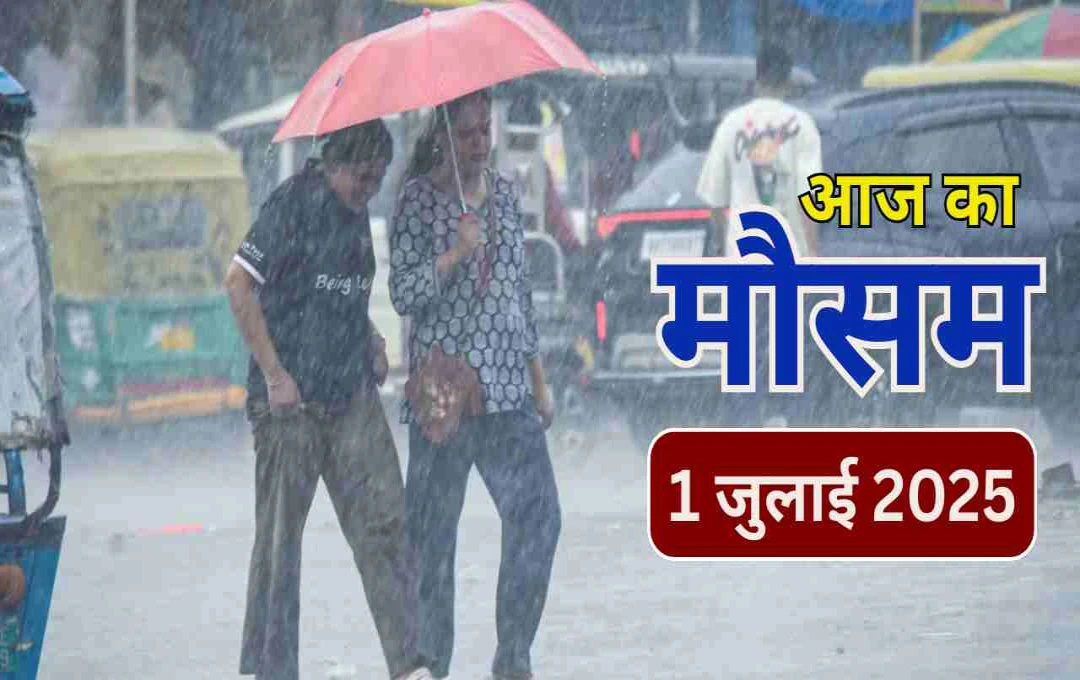 देशभर में सक्रिय हुआ मॉनसून, दिल्ली से लेकर छत्तीसगढ़ तक झमाझम बारिश के आसार: IMD ने जारी किया अलर्ट
