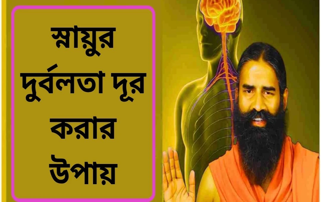 বর্ষাকালে স্নায়ু দুর্বলতা: যোগা, খাদ্যাভ্যাস ও জীবনযাত্রার পরিবর্তনে সুস্থ থাকুন