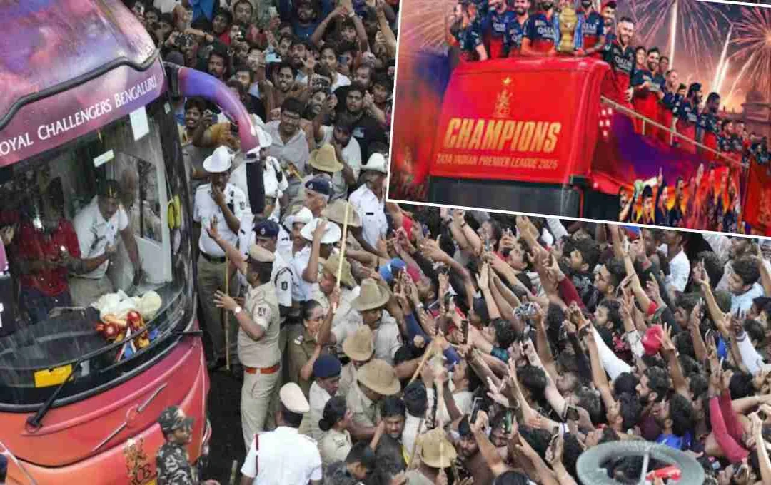 Bengaluru stampede: चिन्नास्वामी स्टेडियम भगदड़ मामले में RCB को CAT ने ठहराया जिम्मेदार, जानें वजह