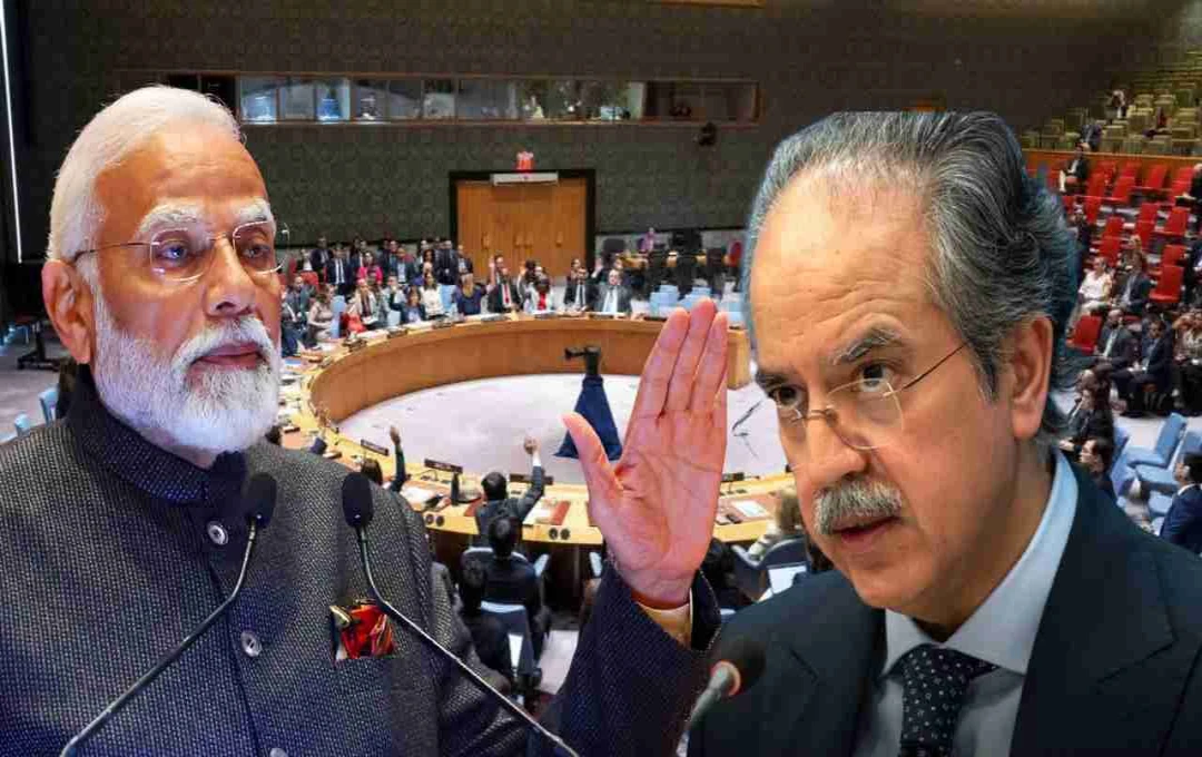 UNSC की अध्यक्षता मिलते ही पाकिस्तान ने फिर उठाया कश्मीर मुद्दा, भारत ने दी कड़ी प्रतिक्रिया