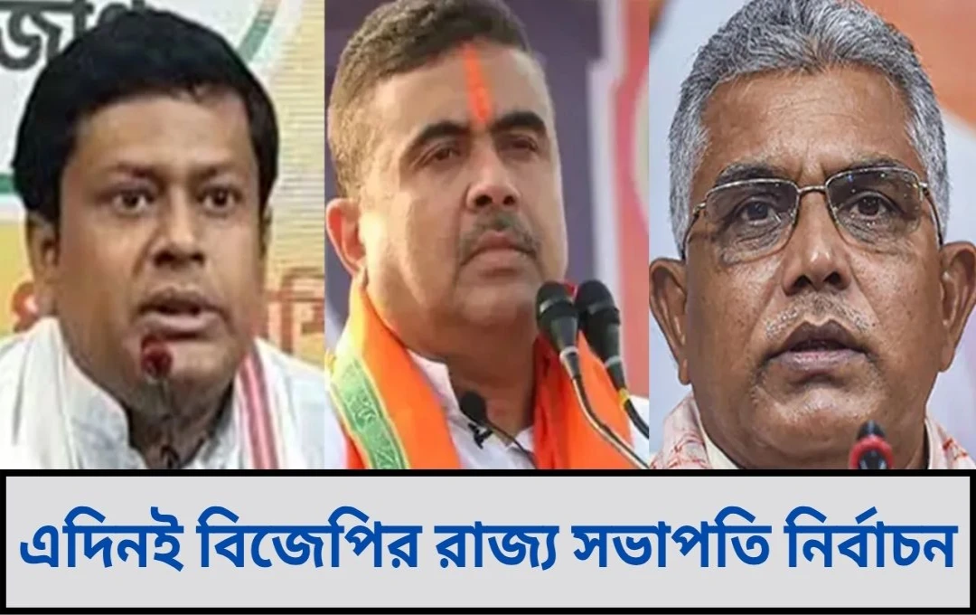 বঙ্গ বিজেপিতে বড় সিদ্ধান্তের আগাম আভাস