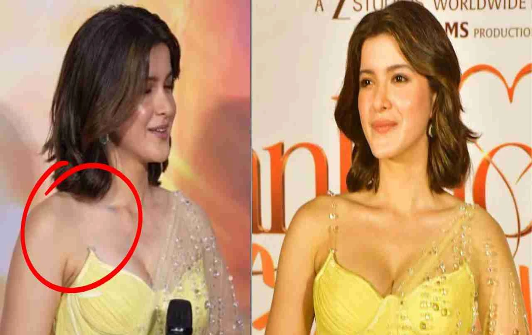 শানায়া কাপুরের আত্মপ্রকাশ: পোশাক বিভ্রাট এবং 'আঁখো কি গুস্তাখিয়াঁ'র ট্রেলার