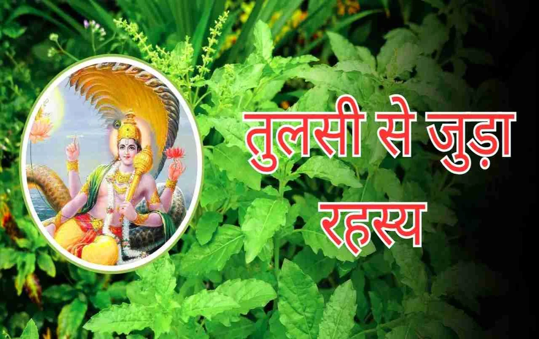 देवशयनी एकादशी: तुलसी से जुड़ा वो रहस्य जो बदल सकता है आपका भाग्य!