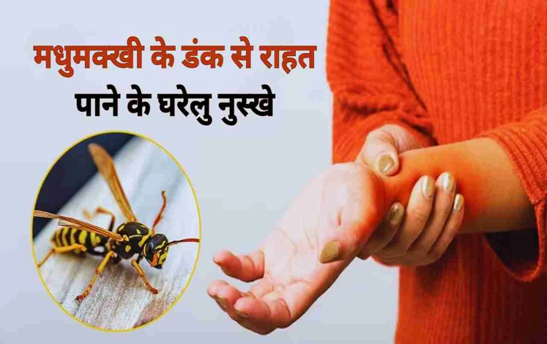 মৌমাছির হুল: তাৎক্ষণিক প্রতিকার ও সতর্কতা