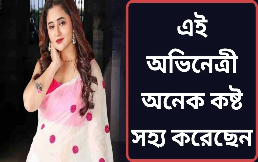 রশ্মি দেশাই: দারিদ্র্য থেকে সাফল্যের শিখরে, ব্যক্তিগত জীবনে ভাঙন সত্ত্বেও অবিচল