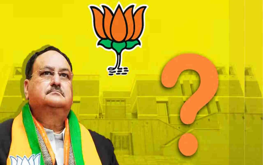 कौन होगा बीजेपी का राष्ट्रीय अध्यक्ष? निर्मला सीतारमण, डी. पुरंदेश्वरी और वनथी श्रीनिवासन के नाम रेस में सबसे आगे