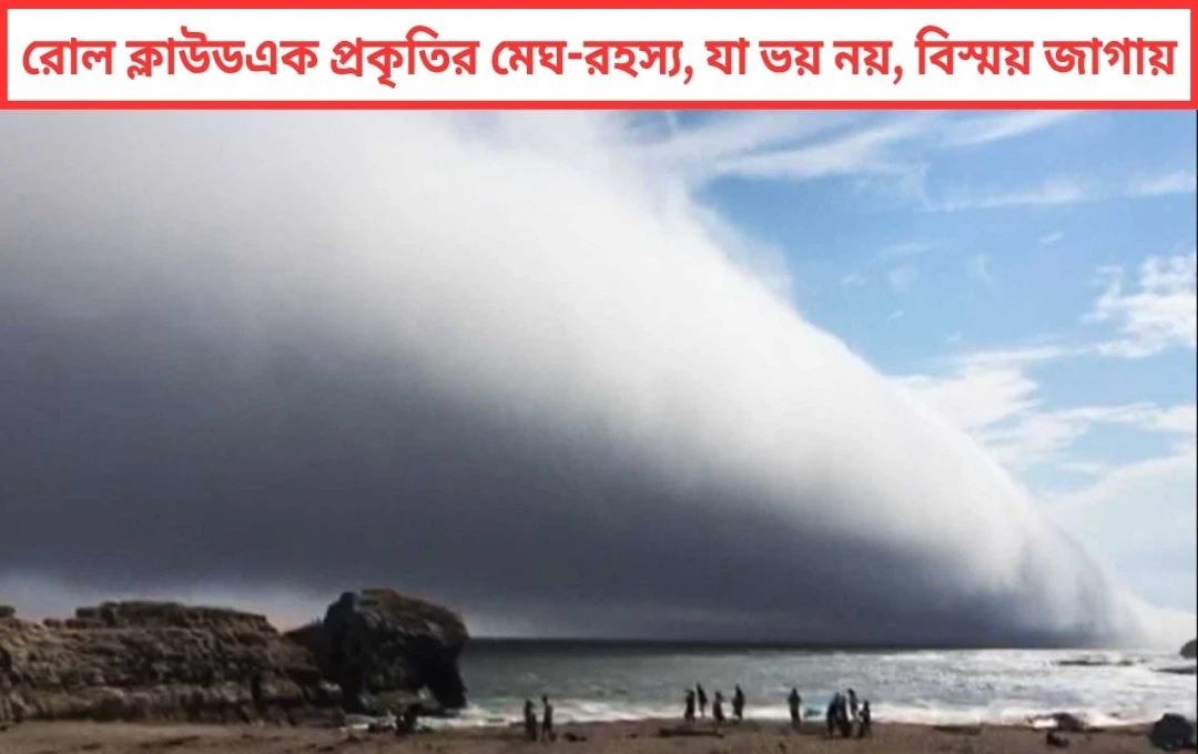 পর্তুগালের আকাশে বিস্ময়ের ঢেউ! সৈকতের আকাশ জুড়ে রোল ক্লাউডের আগমন
