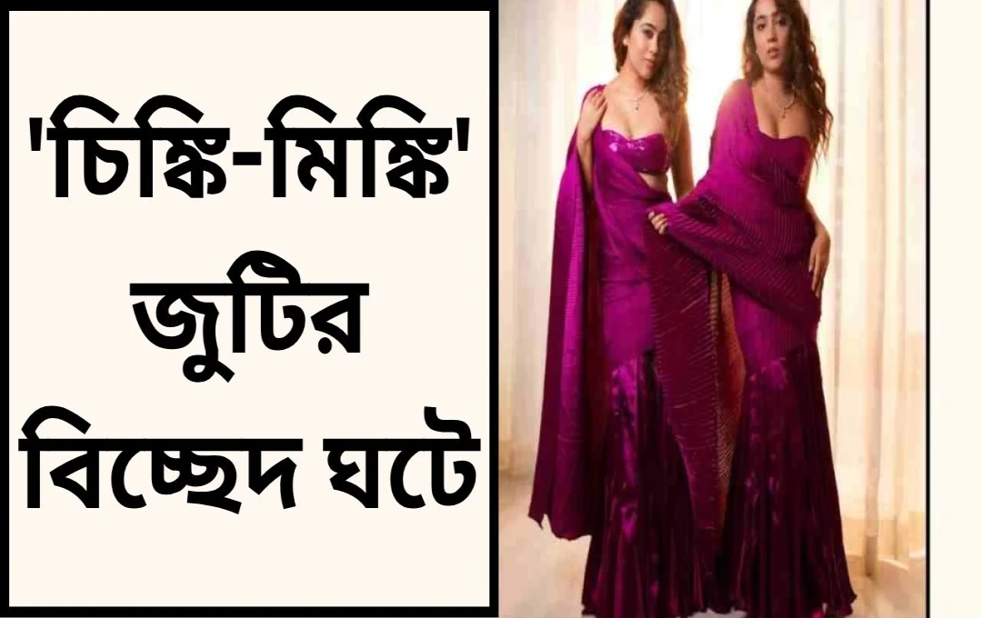 চিঙ্কি-মিঙ্কির বিচ্ছেদ: সুরভি ও সমৃদ্ধির পথ আলাদা, ভক্তদের মন খারাপ