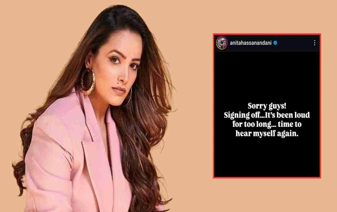অনিতা হাসসানন্দানির সোশ্যাল মিডিয়া থেকে বিদায় নেওয়ার ঘোষণা, উদ্বিগ্ন ভক্তরা