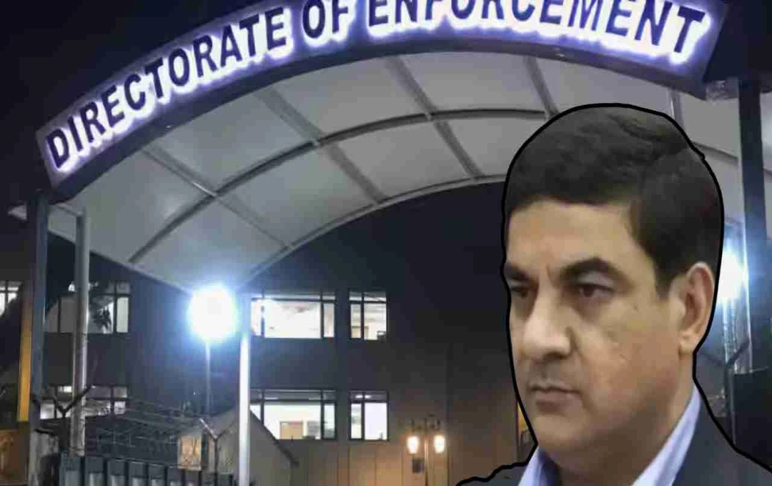 दिल्ली कोर्ट का बड़ा फैसला: संजय भंडारी अब FEO, ED बढ़ाएगा शिकंजा