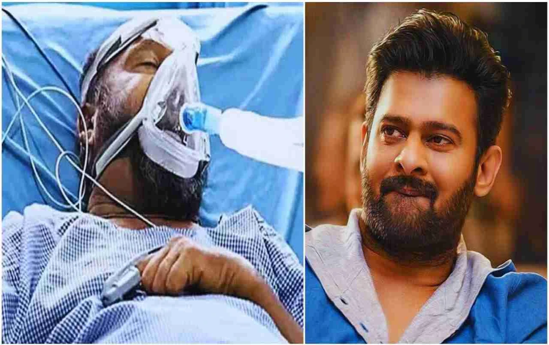 प्रभास की दरियादिली: बीमार फिश वेंकट की मदद के लिए देंगे 50 लाख, फैंस बोले रियल हीरो