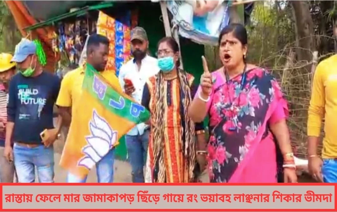 রাস্তায় ফেলে মার, জামাকাপড় ছিঁড়ে, গায়ে রং— ভয়াবহ লাঞ্ছনার শিকার ভীমদা