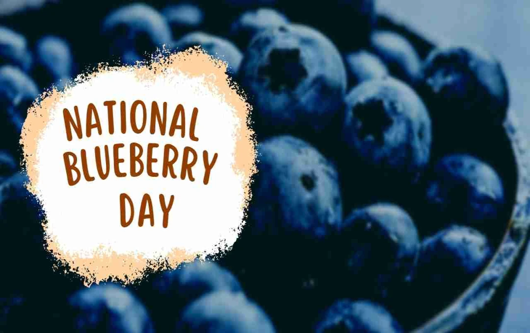 National Blueberry Day – स्वादिष्ट और सेहतमंद ब्लूबेरी फल के फायदे और मनाने का जश्न