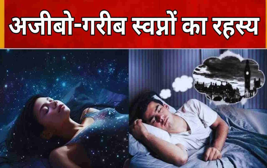 স্বপ্নের জগৎ: আপনার ভবিষ্যতের ইঙ্গিত?