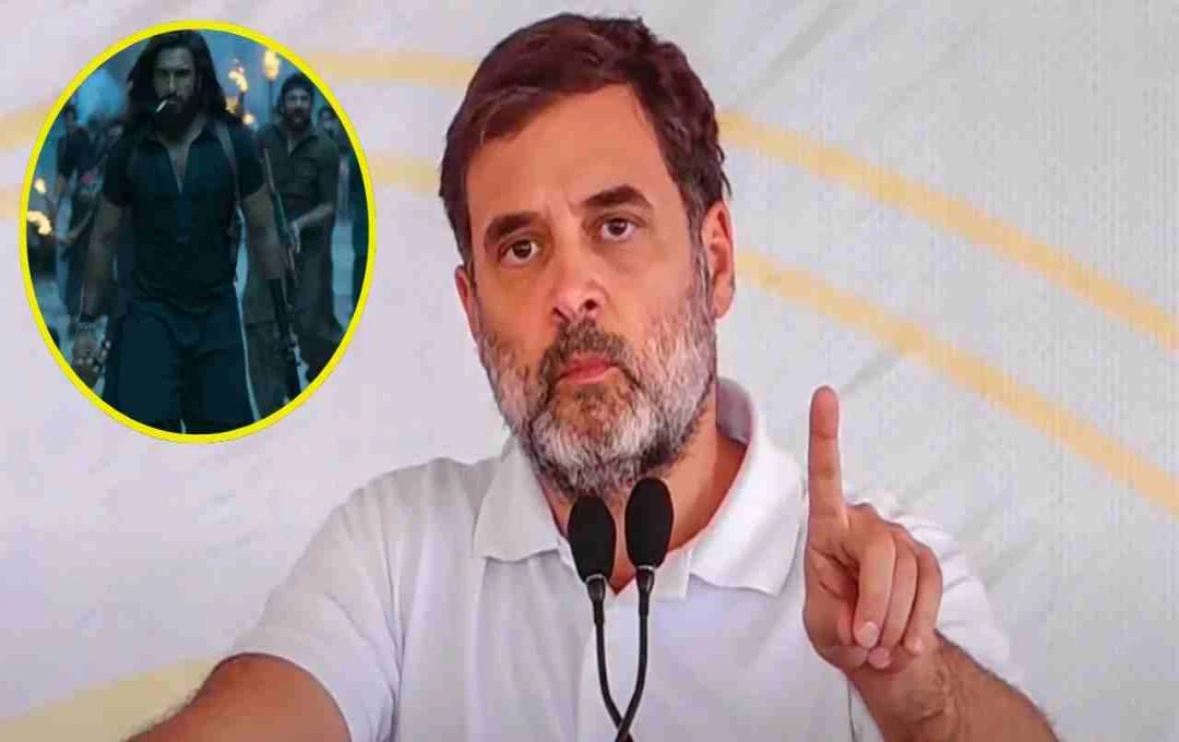 ‘धुरंधर’ के एग्जीक्यूटिव प्रोड्यूसर बने राहुल गांधी? सोशल मीडिया पर मचा बवाल, जानिए क्या है सच्चाई