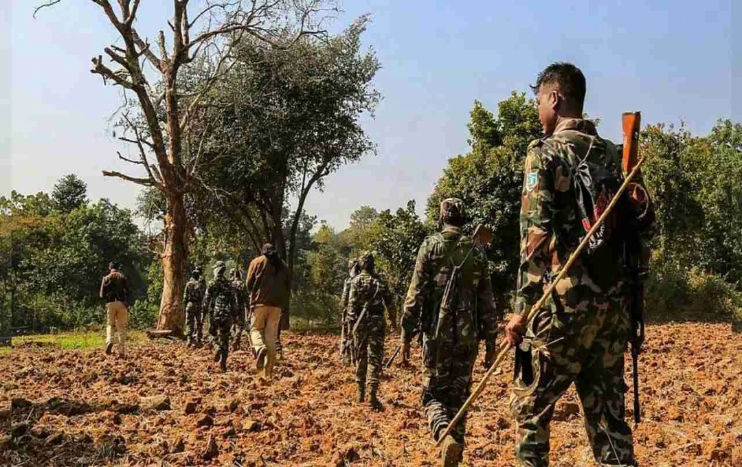 छत्तीसगढ़ के बिजापुर में नक्सली IED ब्लास्ट, CRPF के दो जवान घायल, इलाके में सर्च ऑपरेशन तेज