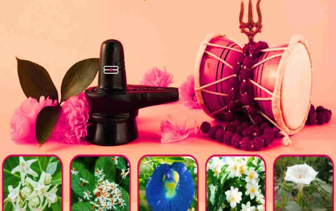 শ্রাবণ মাসে শিবের আরাধনায় ফুল: কোন ফুল দেবেন?
