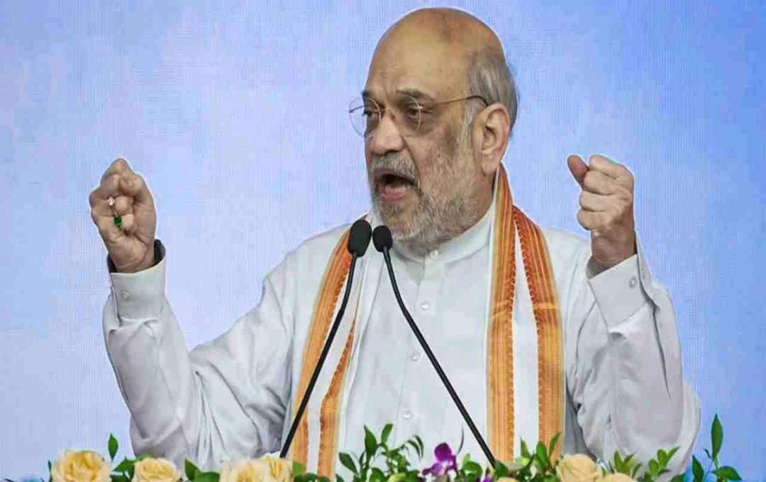 Amit Shah's Post-Political Plans: Natural Farming, Vedic Studies, and a Focus on Youth Health