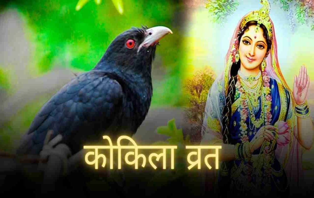 कोकिला व्रत में कोयल की पूजा क्यों की जाती है? जानिए इसके पीछे का रहस्य