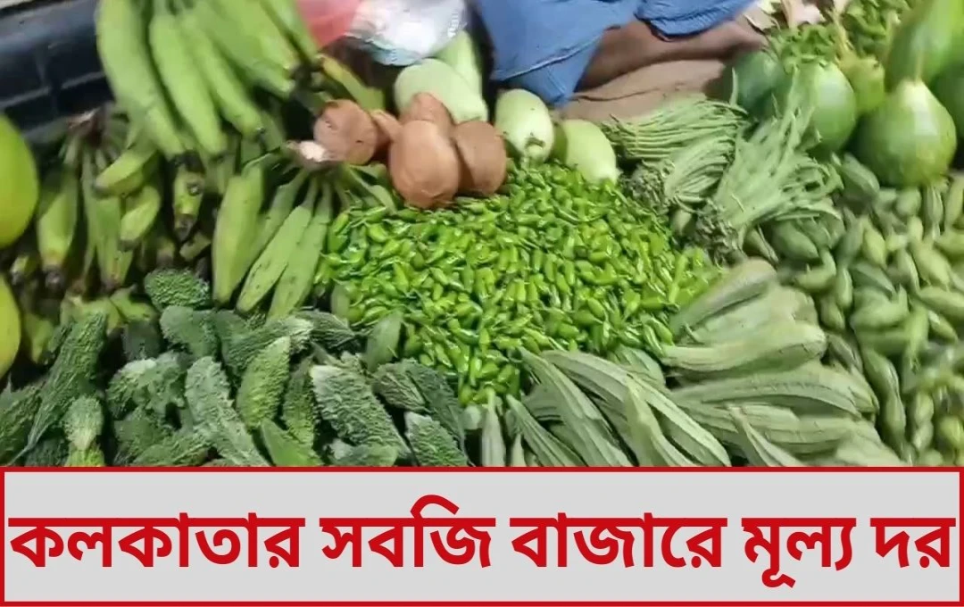 ২৫০ ছাড়িয়ে কাঁচালঙ্কা, ছুঁয়ে দেখাও যাচ্ছে না বেগুন বর্ষার বৃষ্টিতে ঝলসে উঠেছে কলকাতার সবজির বাজার
