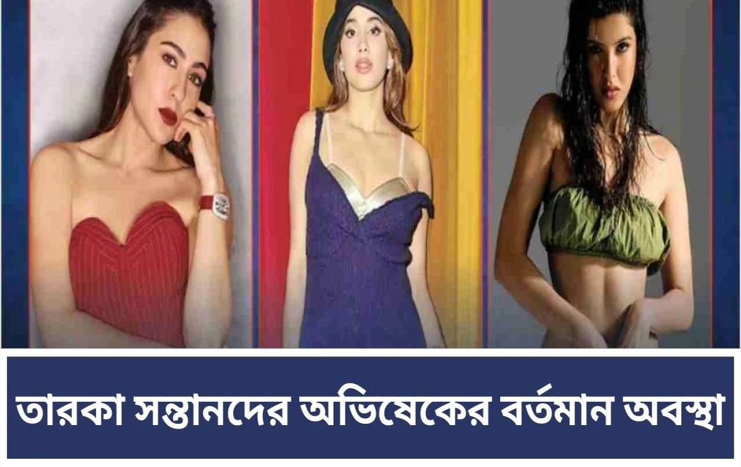 বলিউডে স্টার কিডদের অভিষেক: বক্স অফিসে সাফল্যের চিত্র