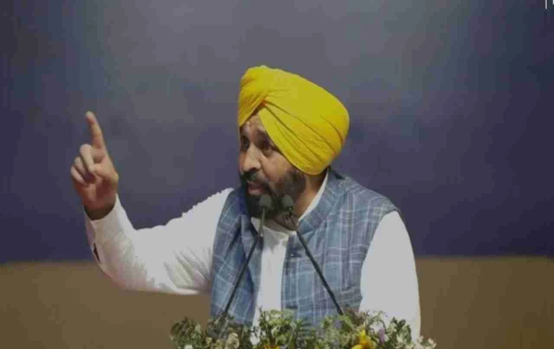 Punjab CM Mann Demands Review of Indus Water Treaty, Vows to Protect State's Water Rights