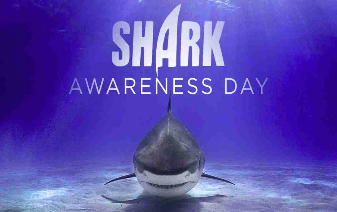 Shark Awareness Day: समंदर के शाही शिकारी को समझने और बचाने का दिन