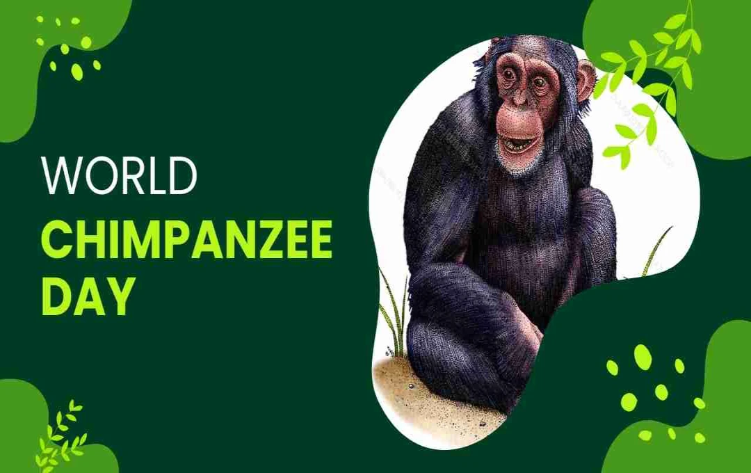 World Chimpanzee Day: जानिए इन बुद्धिमान चिंपांजी के बारे में और कैसे करें उनकी रक्षा