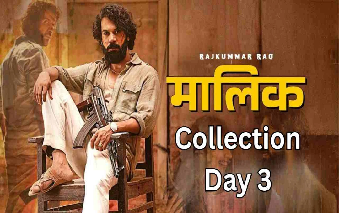 Maalik Collection Day 3: संडे को 'मालिक' बना बॉक्स ऑफिस का बादशाह, राजकुमार राव ने तोड़ा रिकॉर्ड